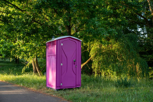 Best Luxury portable toilet rental  in Riverview, MI
